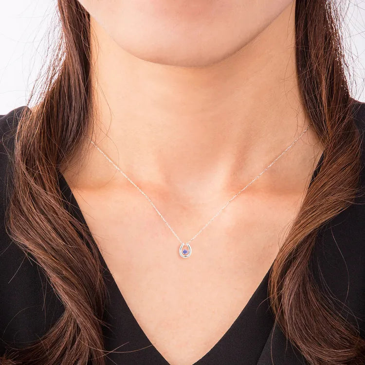 ネックレス(HP-0725TZ-W10/K10 white gold) -tanzanite-December 着用イメージ